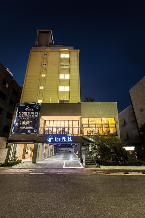 The Petel Premium Suite Busan Exterior foto