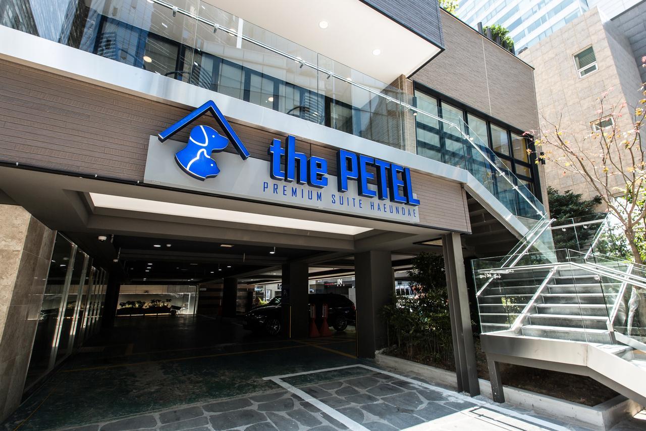 The Petel Premium Suite Busan Exterior foto